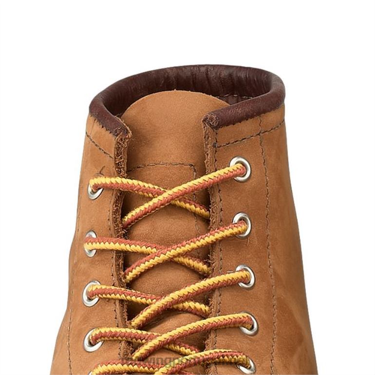 bege/douradoRed Wing estilo 93007 Renda plana encerada de 60 polegadas renda unissex em algodão encerado F2TL2235