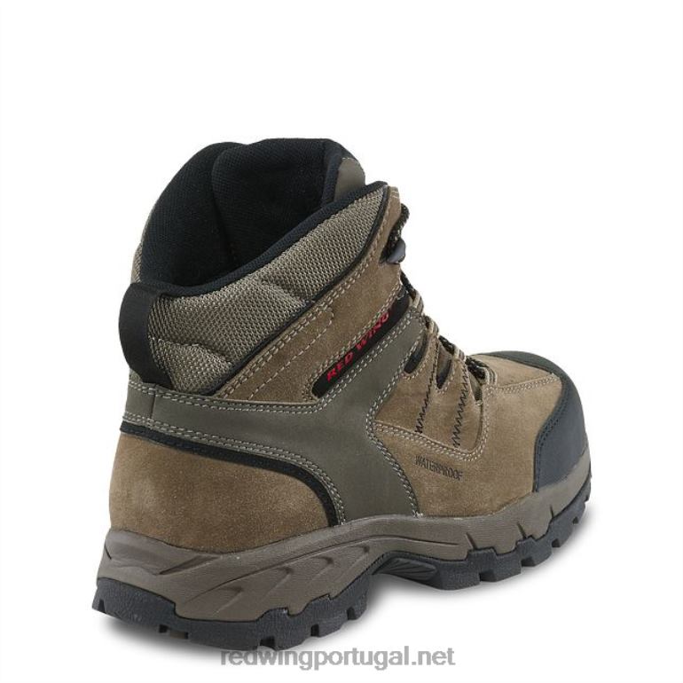 cinzaRed Wing kit de produtos de cuidados básicos estilo 97099 kit de cuidados - limpar, condicionar, proteger F2TL264