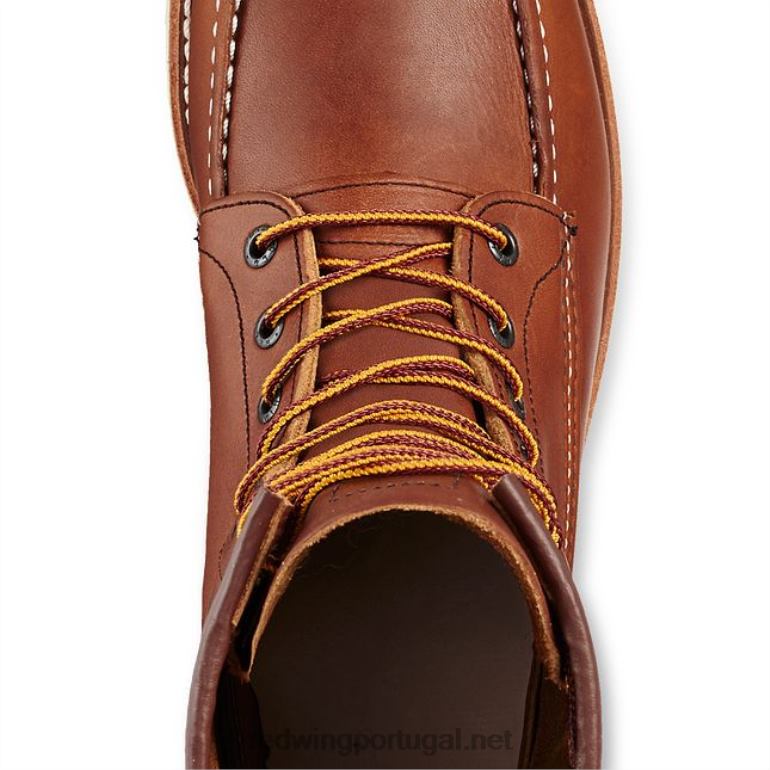 marromRed Wing kit de limpeza para acabamento/nubuck estilo 98014 produto para cuidados com o couro - limpar, condicionar, proteger F2TL237